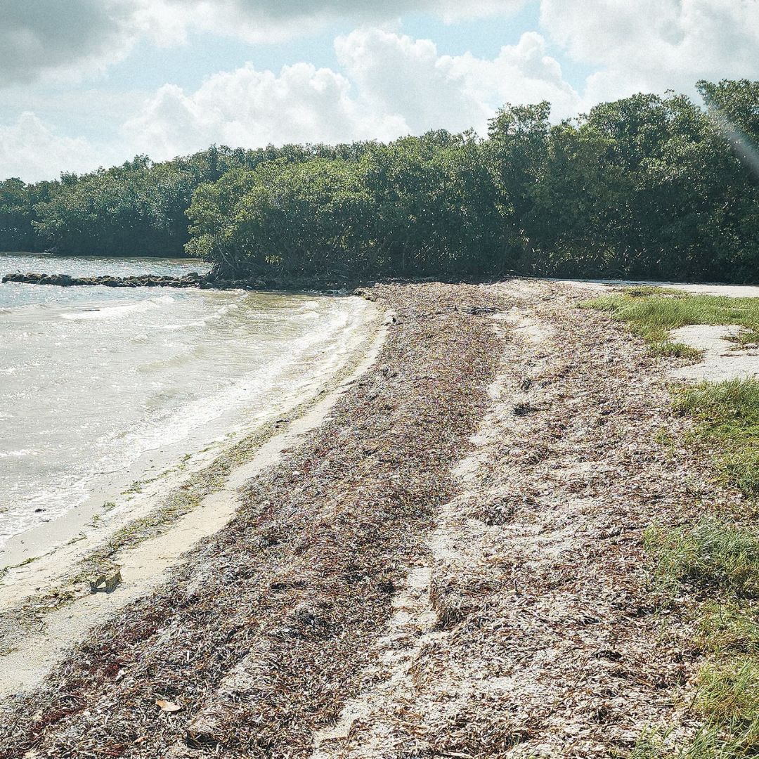 Team GT at the event